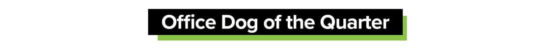 Q1_header_officeDog